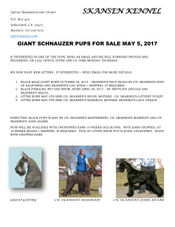 Sylvia Hammarstrom, Owner SKANSEN KENNEL P.O. Box 400