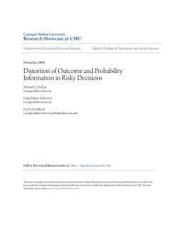 Distortion of Outcome and Probability Information in Risky Decisions