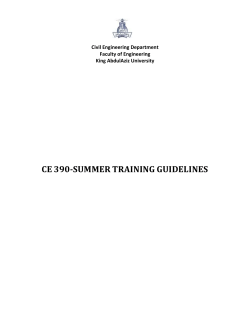 ce 390-summer training guidelines