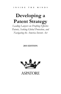Developing a Patent Strategy