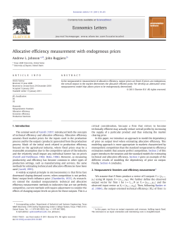 Allocative efficiency measurement with endogenous prices