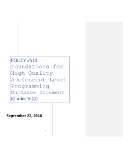 Foundations for High Quality Adolescent Level Programming