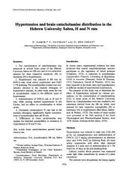Hypertension and Brain Catecholamine Distribution in the Hebrew