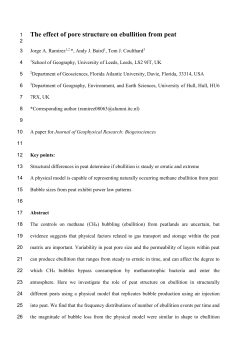 The effect of pore structure on ebullition from peat