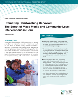 Promoting Handwashing Behavior: The Effect of Mass Media and