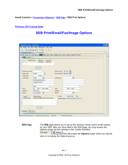SEB Print/Email/Fax/Image Options