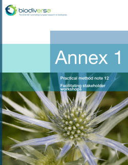 Facilitating stakeholder workshops