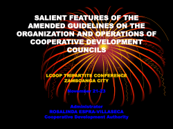 amended guidelines on the organization and operations of