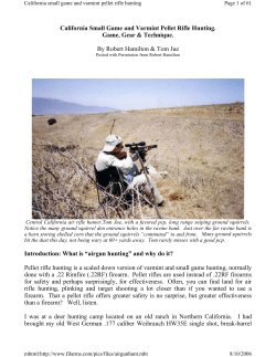 Small Game and Varmint Pellet Rifle Hunting