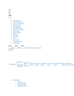 COMPANY NAME HERE! CHAINSAWS (petrol driven) &ndash; GENERIC
