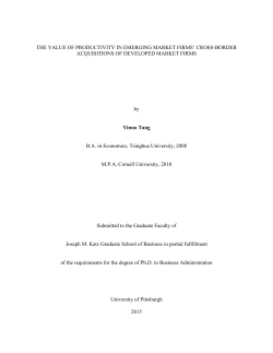 THE VALUE OF PRODUCTIVITY IN EMERGING MARKET FIRMS