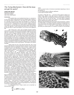 19 The Turing Mechanism: How did the leop