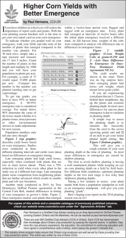 Higher Corn Yields with Better Emergence