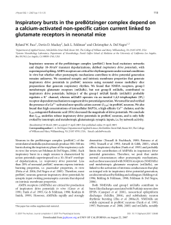 Inspiratory bursts in the preB &uml;otzinger complex depend on a