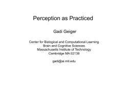Perception as Practiced