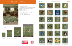 Collegiate Home Field Rugs