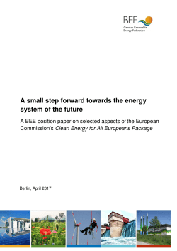 20170418_BEE Position Clean Energy Package