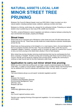 minor street tree pruning