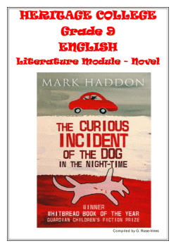 The curious incident of the dog in the night