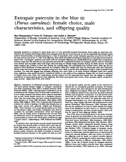 Extrapair paternity in the blue tit (Parus caeruleus