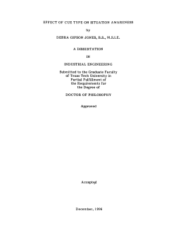 EFFECT OF CUE TYPE ON SITUATION AWARENESS DEBRA