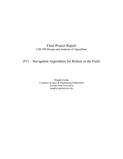 Project Report