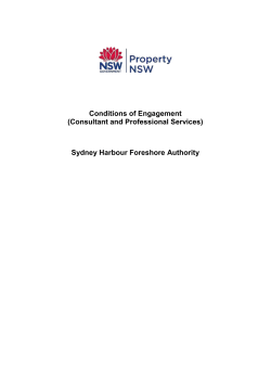 Conditions of Engagement (Consultant