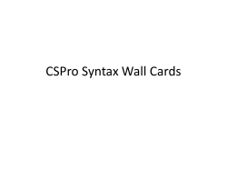 CSPro Syntax Wall Cards