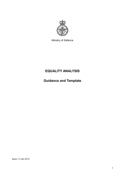 Equality Analysis Guidance and Template