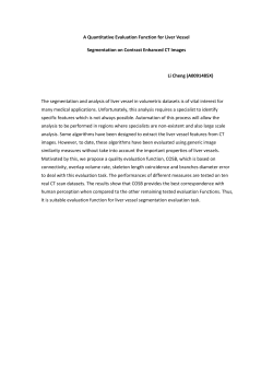 A Quantitative Evaluation Function for Liver Vessel Segmentation on