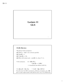 Lecture 11 GLS