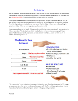 The Identity Gap Doc