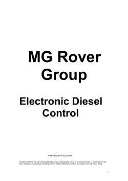 Common rail fuel system