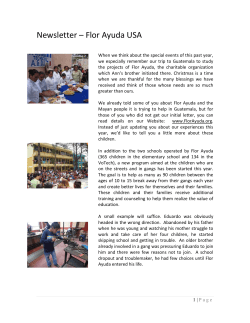 Newsletter &ndash; Flor Ayuda USA