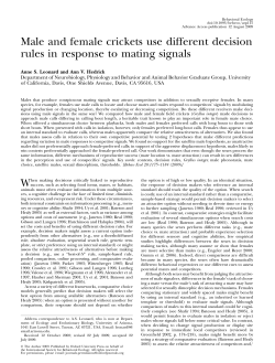 Male and female crickets use different decision rules in response to