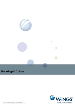 The Wings Culture: Every team member*s action defines the wings