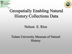 Tulane Museum of Natural History - Tulane University Biodiversity