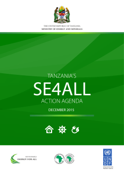 action agenda tanzania`s