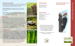 Round Ball Mountain - Columbia Land Conservancy