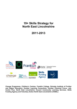 19+ Skills Strategy for North East Lincolnshire