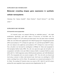 Molecular crowding shapes gene expression in