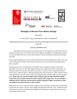 Strategies to Recover from Winter Damage