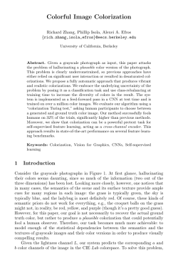 Colorful Image Colorization