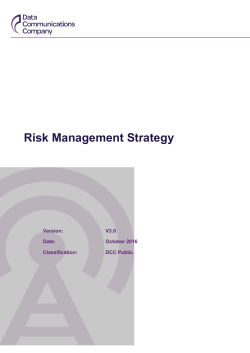 Risk Management Strategy