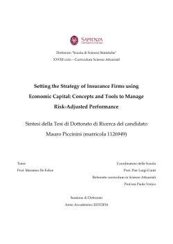 Setting the Strategy of Insurance Firms using Economic Capital