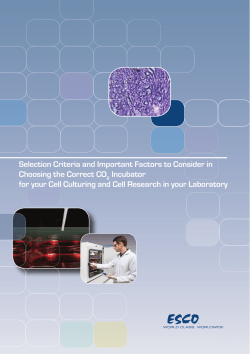 Selection Criteria and Important Factors to Consider