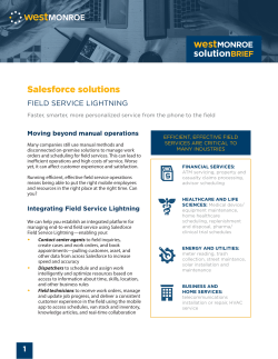 solutionBRIEF Salesforce solutions