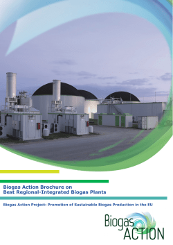 Biogas Action Brochure on Best Regional