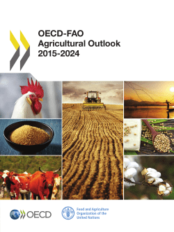 OECD-FAO Agricultural Outlook 2015-2024