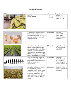 iMovie Storyboard Template